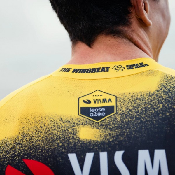 Bekleidung Herren Team Visma Lease a bike 2025 The Wingbeat trikot Bekleidung Herren Team Visma Lease a bike 2025 The Wingbeat trikot